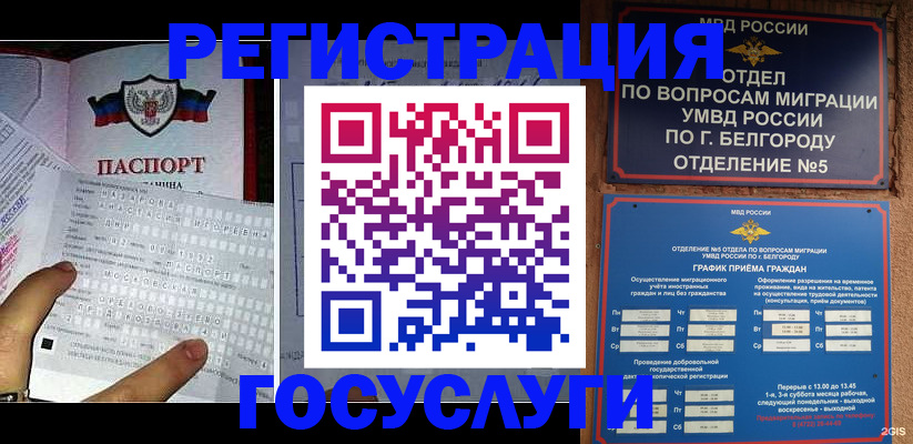 временная регистрация в квартире в Белгородской области
